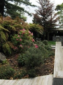 Creel Lodge - View of Executive Suite Executive Suite